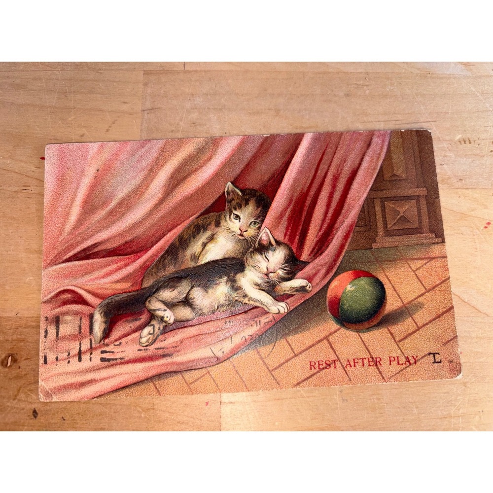 Vintage "Rest After Play" Sleeping Kittens Postcard – German Embossed (1908)